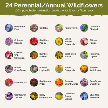 List of flower species and seeds included in the Wildflower Seed Mix.