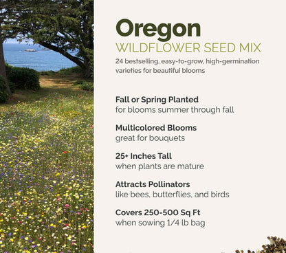 A visual overview of the wildflower seed mix, showcasing expected floral blooms.