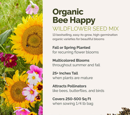 A visual overview of the wildflower seed mix, showcasing expected floral blooms.