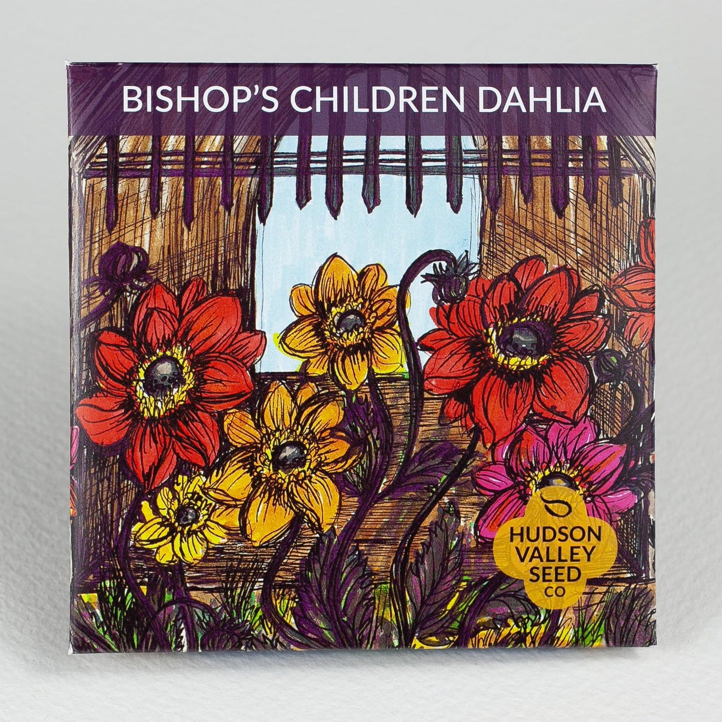 Bishop's Children Dahlia Seedlings