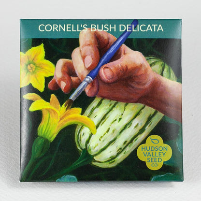 Cornell's Bush Delicata Seedlings