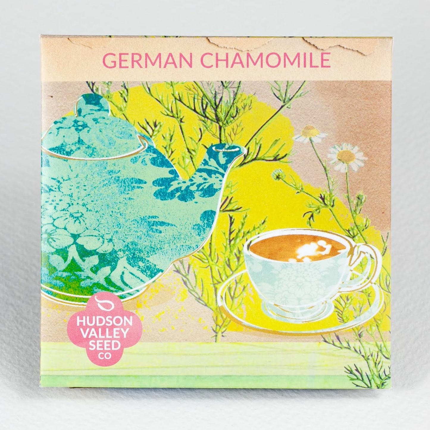 German Chamomile Seedlings