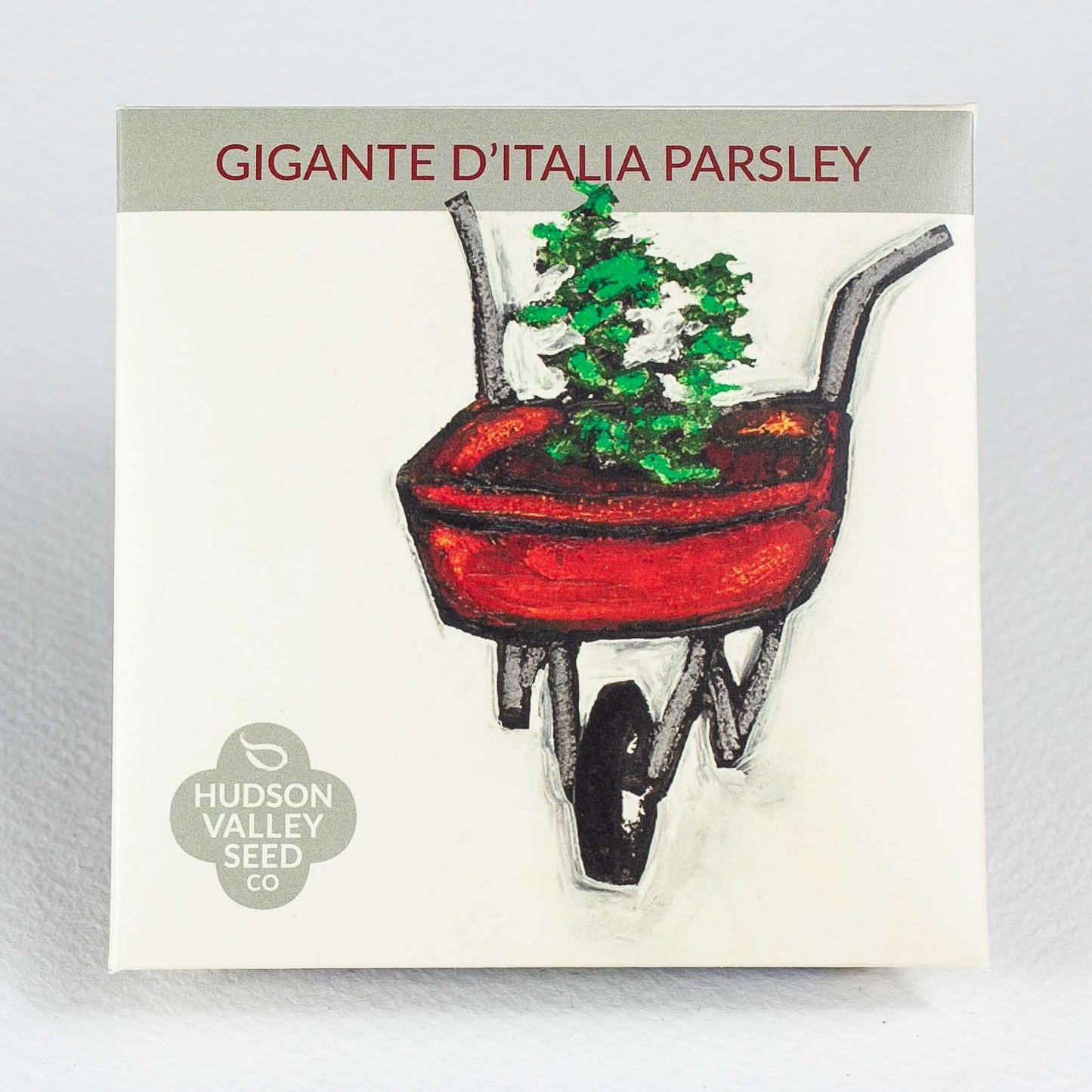 Gigante D'Italia Parsley Art Pack