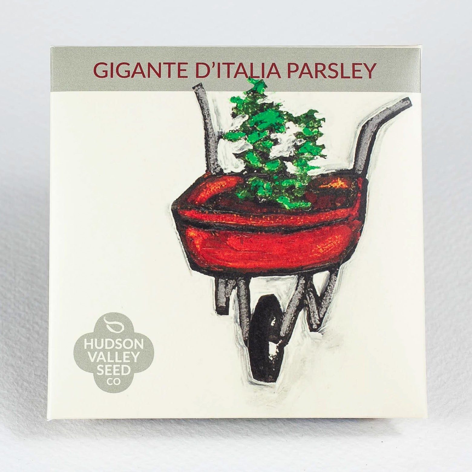 Gigante D'Italia Parsley Art Pack