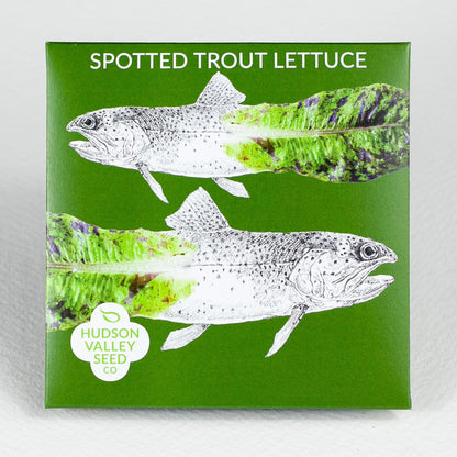 Spotted Trout Lettuce Art Pack