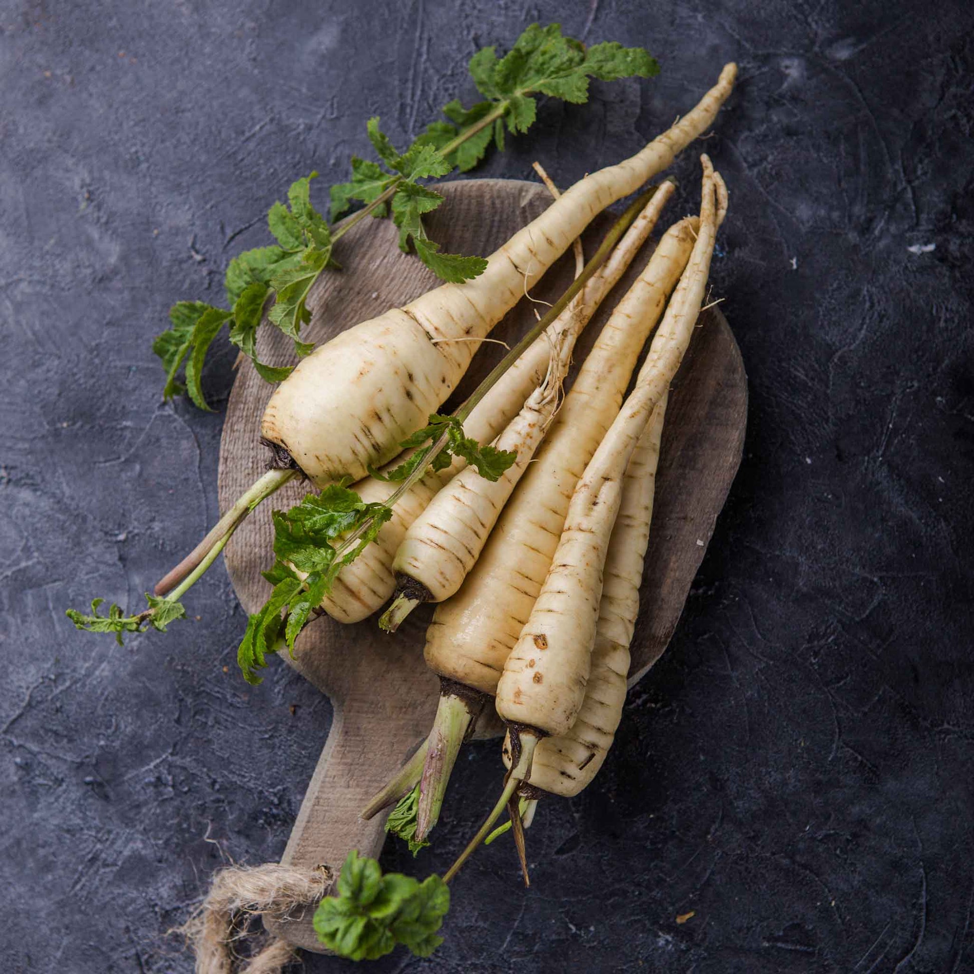 A close-up of All American parsnip roots with white skin, showing its conical shape and texture.