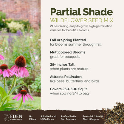 A visual overview of the wildflower seed mix, showcasing expected floral blooms.