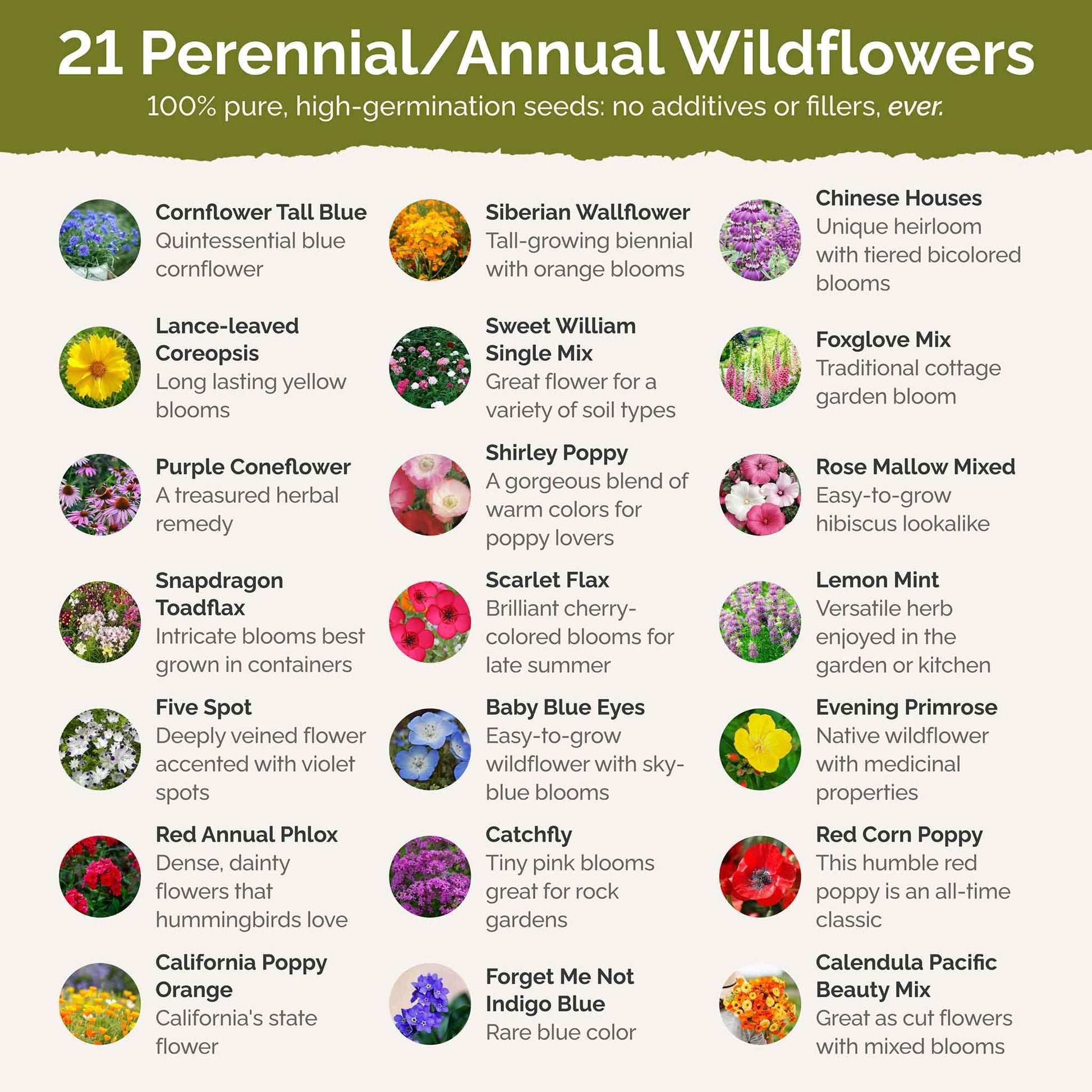 List of flower species and seeds included in the Wildflower Seed Mix.