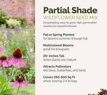 A visual overview of the wildflower seed mix, showcasing expected floral blooms.