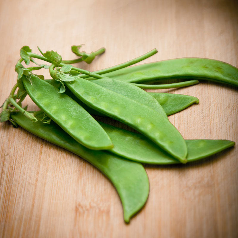 Green Oregon Sugar Pod II pea pods freshly harvested on a wooden surface.