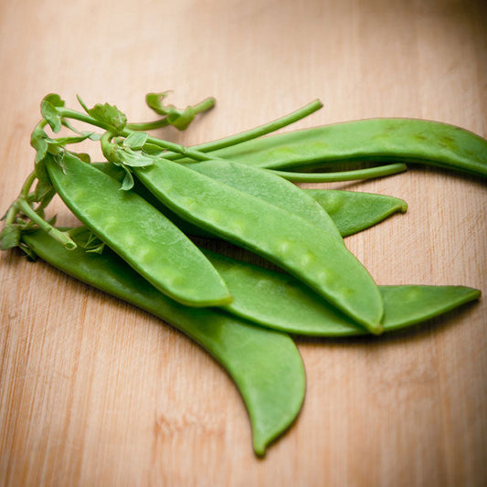 Green Oregon Sugar Pod II pea pods freshly harvested on a wooden surface.
