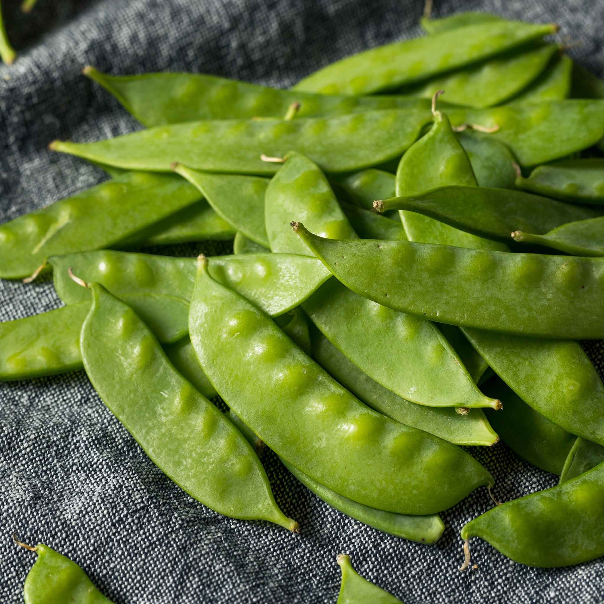 A close-up of Dwarf Grey Sugar pea pods, showing its vibrant green color and the smooth, round peas inside.