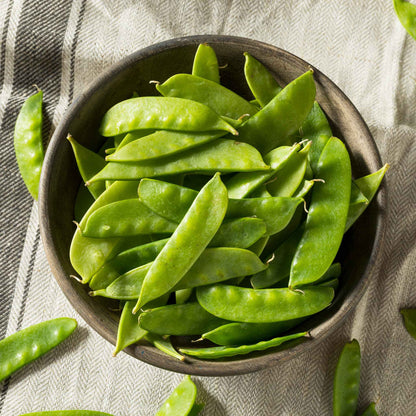 Close-up of Dwarf White Sugar pea pods in a bowl with a few stray pods.