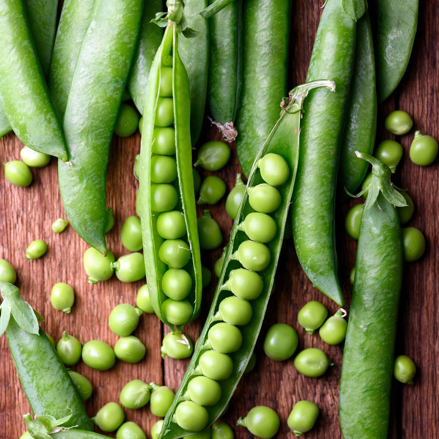 Green Arrow peas showing the peas inside the pod and spilling out.