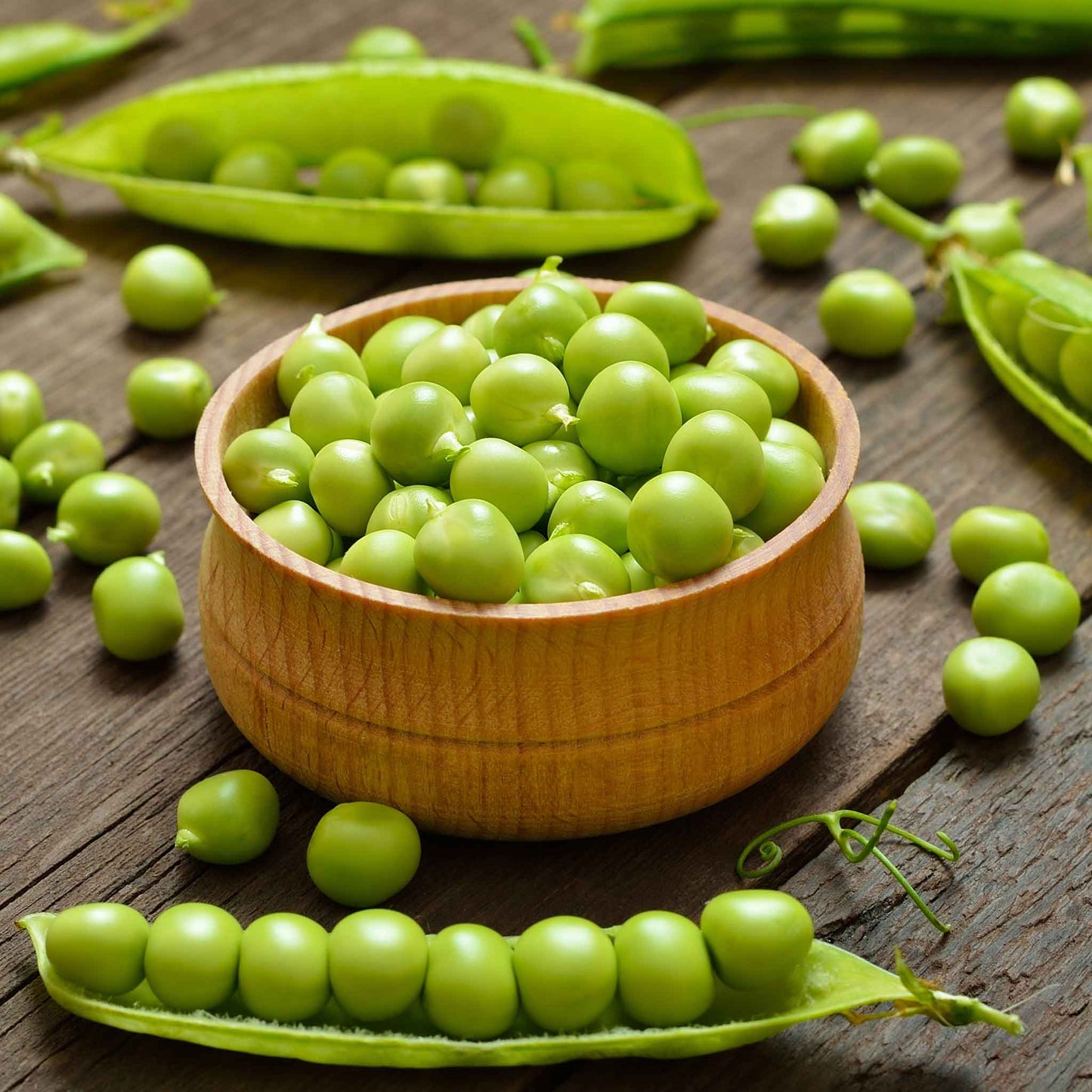 A bowl of shucked Thomas Laxton peas on a wooden surface.