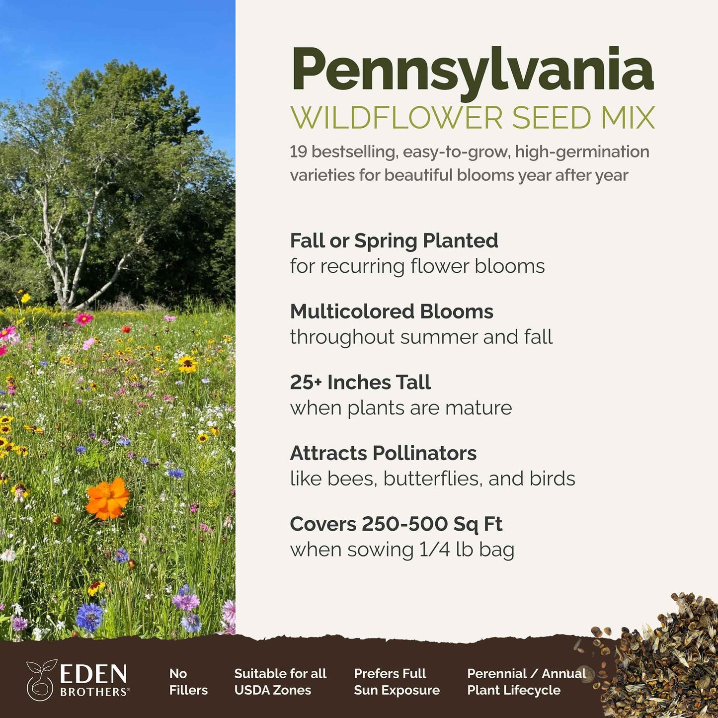 A visual overview of the wildflower seed mix, showcasing expected floral blooms.
