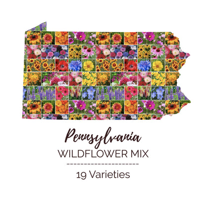 Graphic of the outline of the state for Pennsylvania Wildflower Seed Mix that contains images of the flowers in the mix