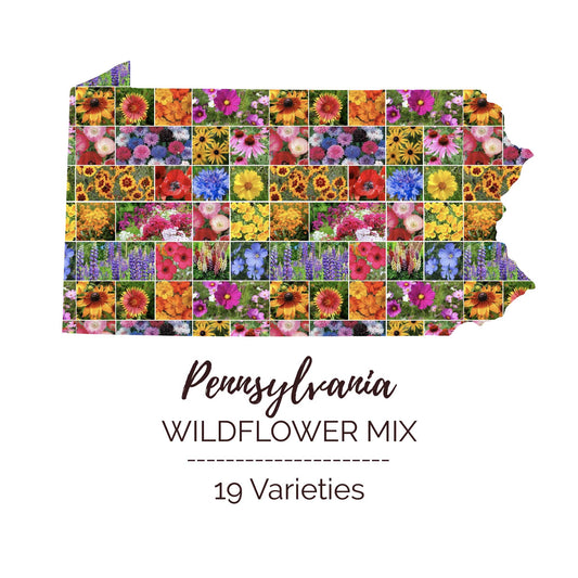Graphic of the outline of the state for Pennsylvania Wildflower Seed Mix that contains images of the flowers in the mix