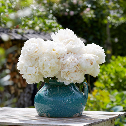 Enormous, fully double creamy-white bowl of cream peony bloom with ruffled petals and a soft yellow center.