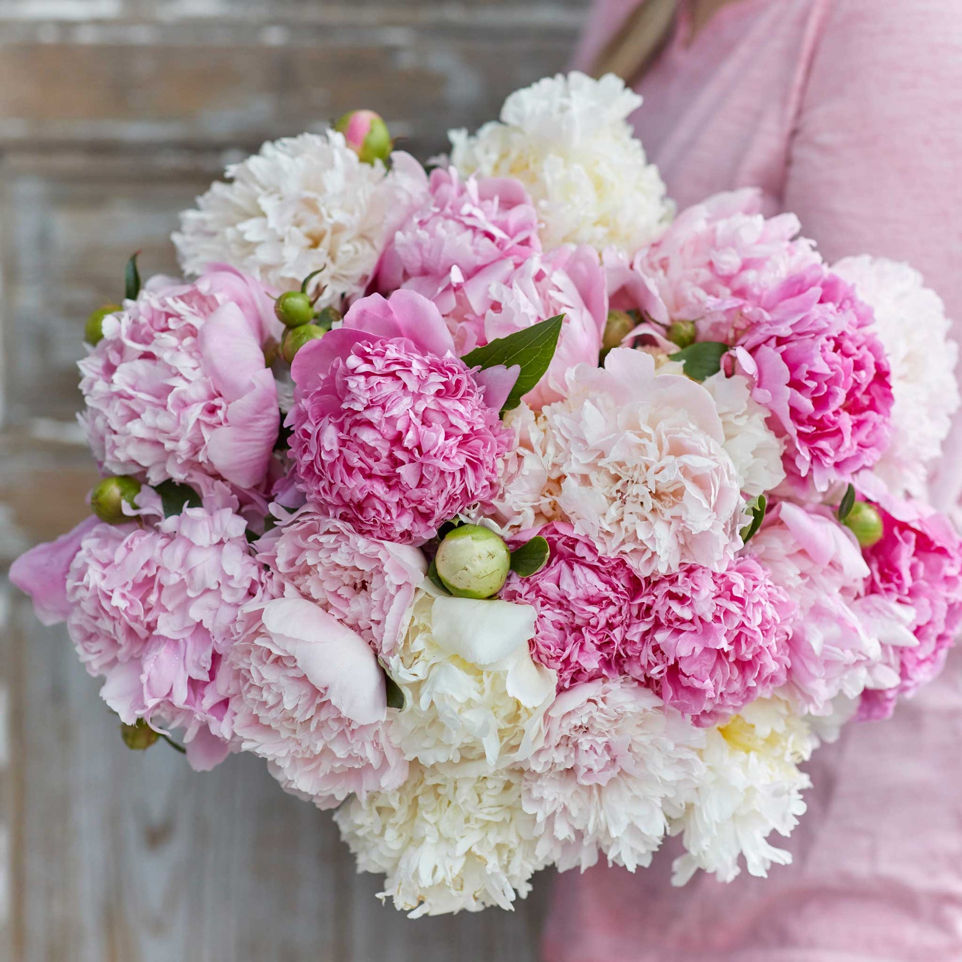 A person holding a bouquet of fluffy pink mix peony flowers with a wooden background.