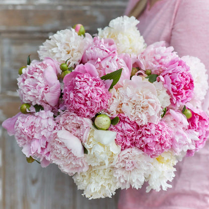 A person holding a bouquet of fluffy pink mix peony flowers with a wooden background.