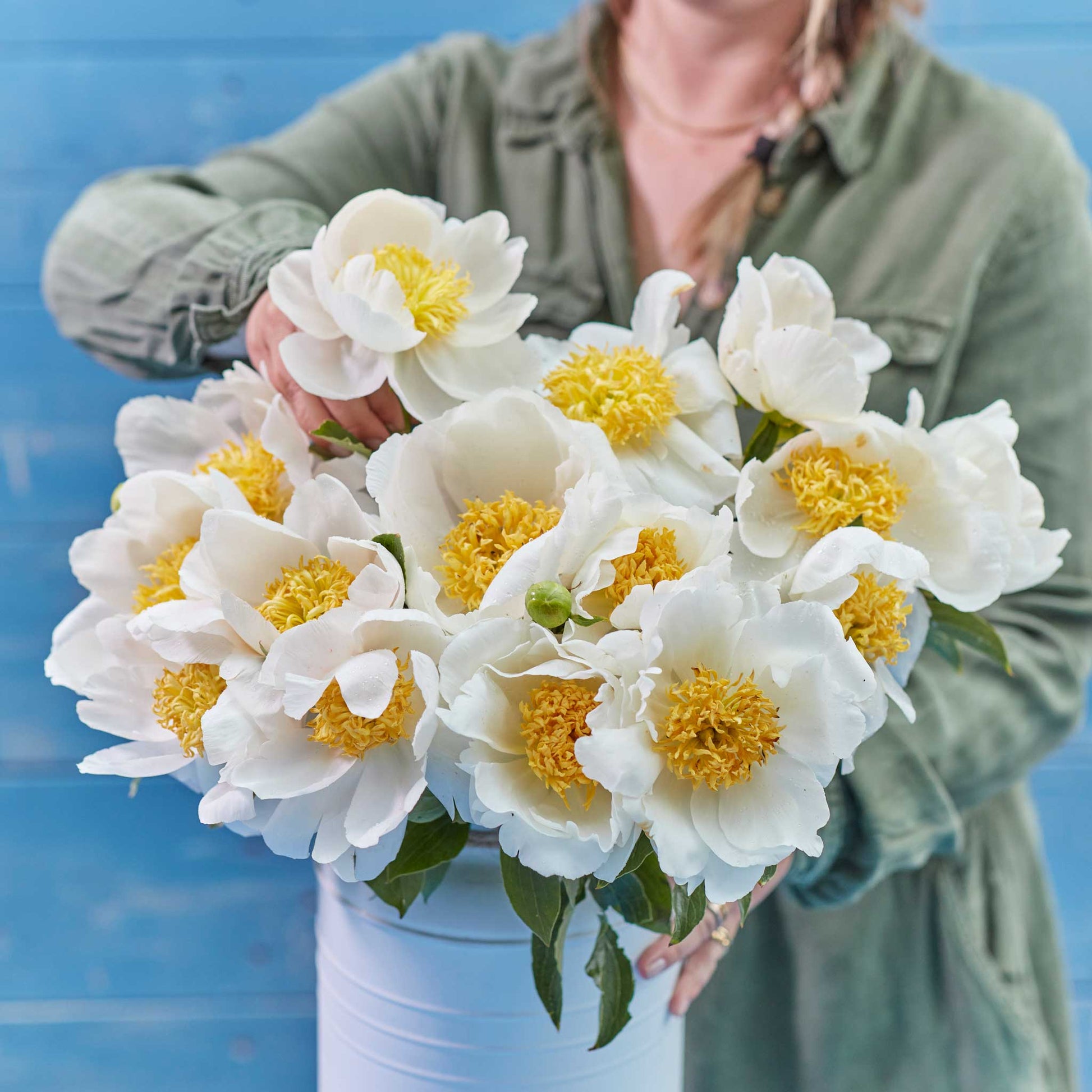 A person holding a bouquet of jan van leeuwen peony flowers with a blue background.