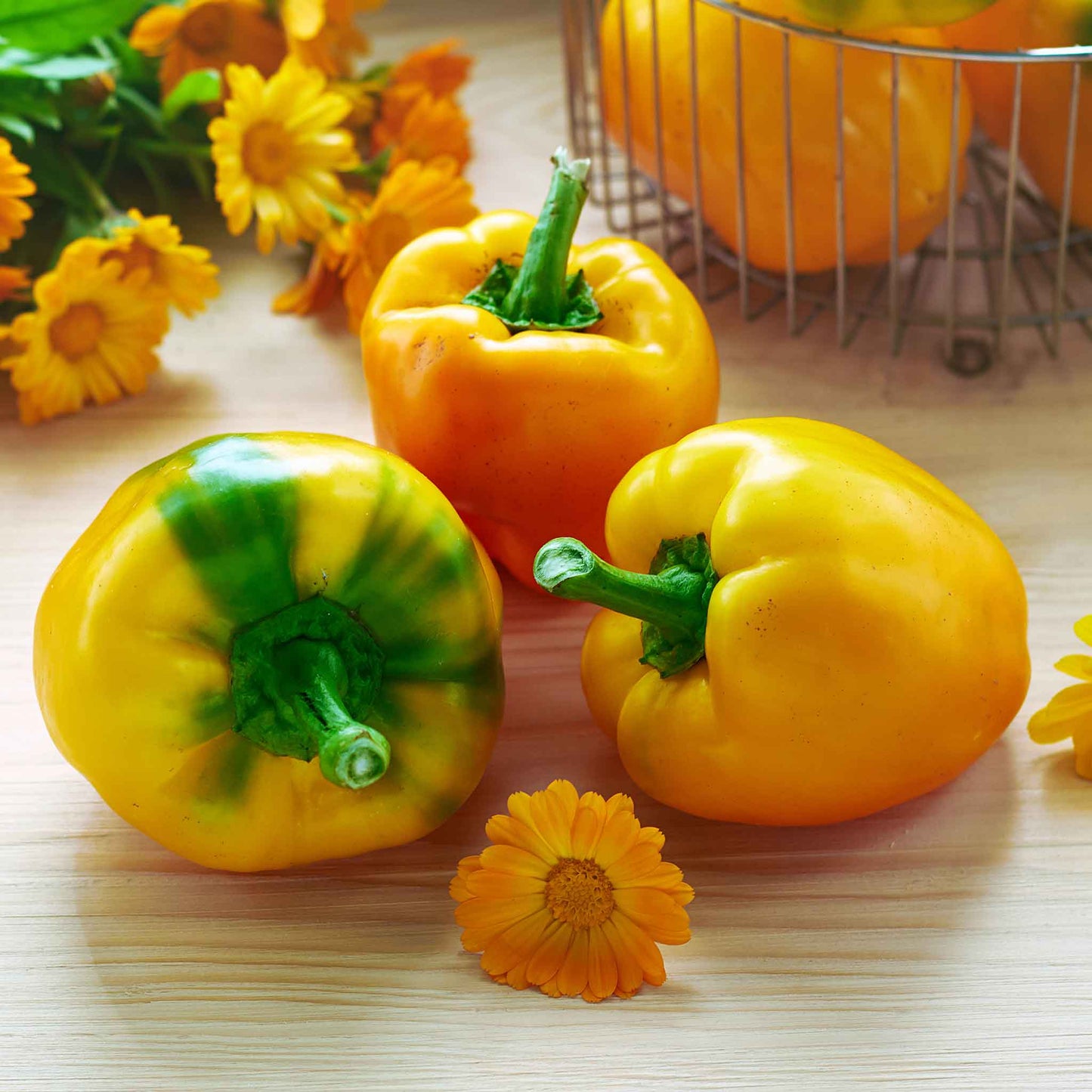 A close-up shot of several bright Canary Bell peppers, showcasing their smooth, glossy skin and vibrant color.
