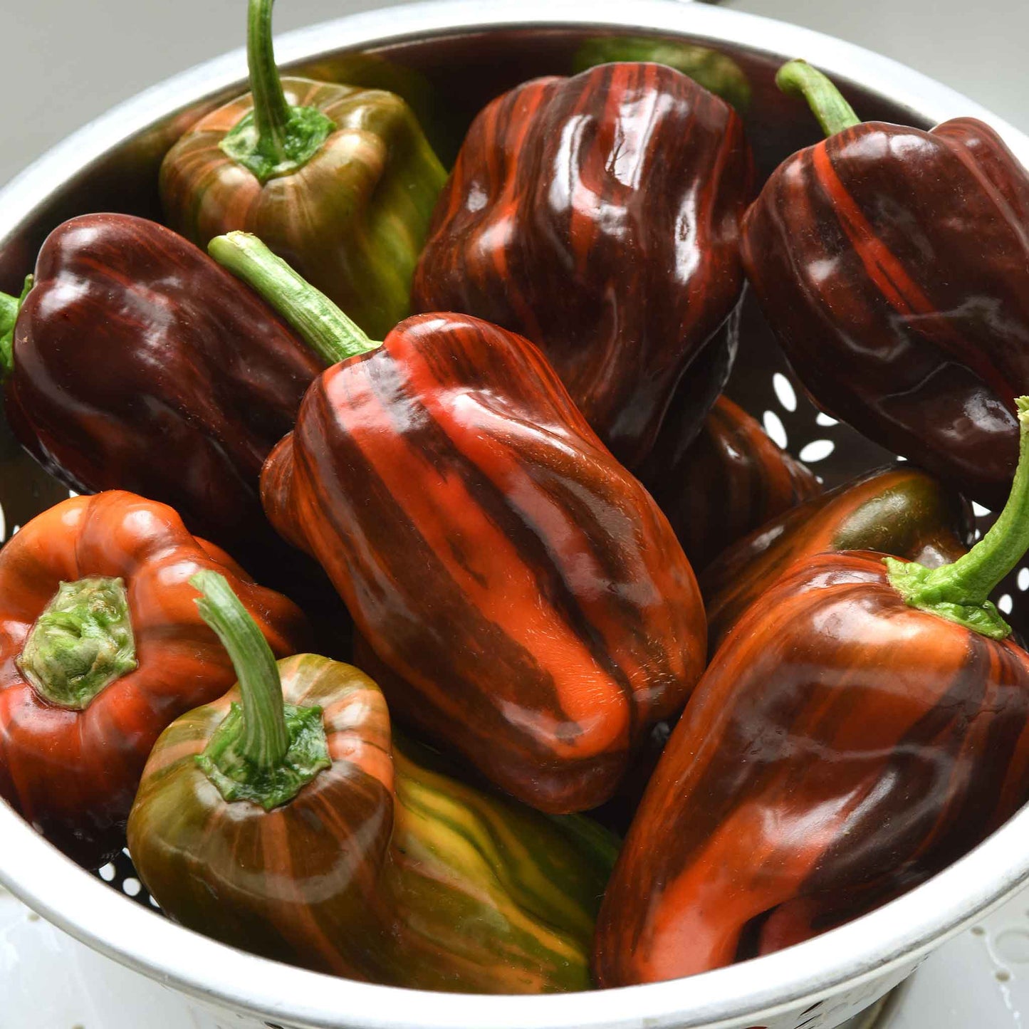 A bowl of multicolored Candy Cane Chocolate Cherry peppers with green stems.