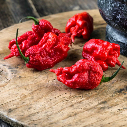 A vivid red Carolina Reaper pepper, known for its extreme heat, sits on a dark surface.