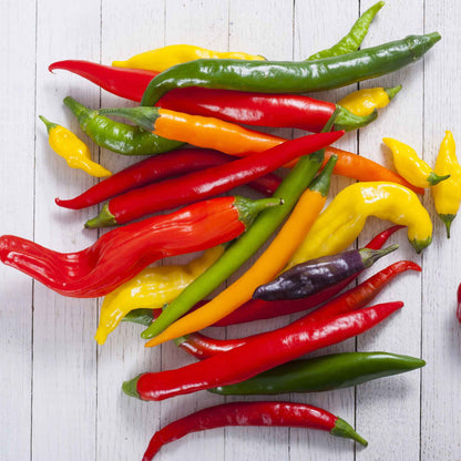 A vibrant mix of red, orange, and yellow Cayenne Blend peppers in a pile, showcasing a colorful blend. 