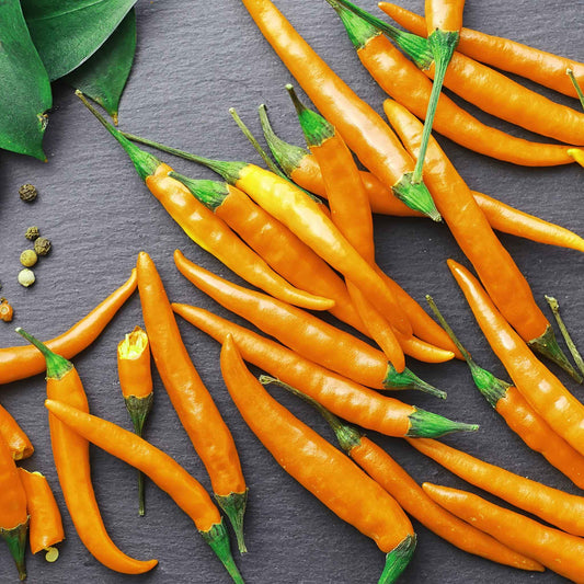 Bright orange cayenne peppers with green stems on a dark background.