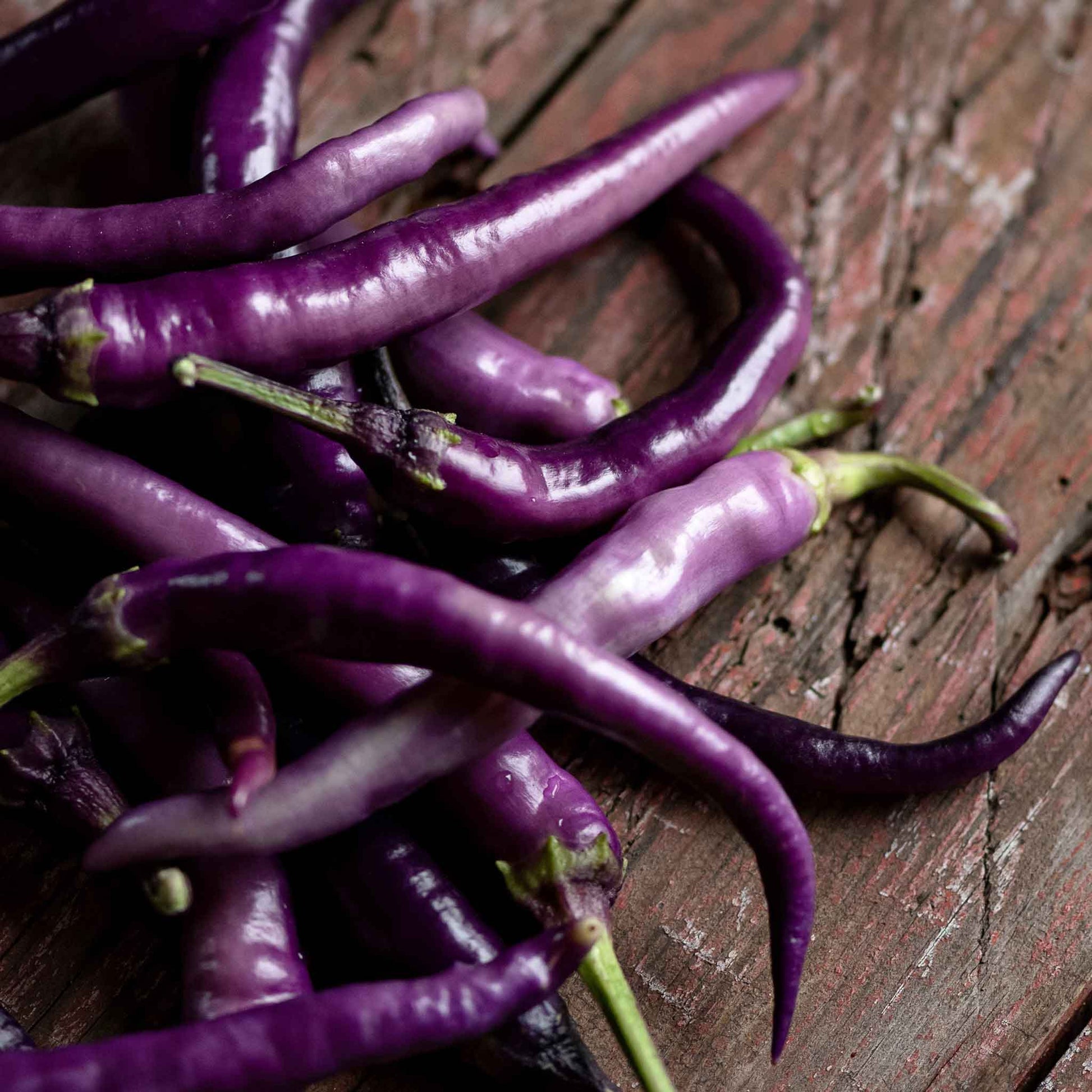 A cluster of vibrant Cayenne Purple peppers with hints of green on the stems.