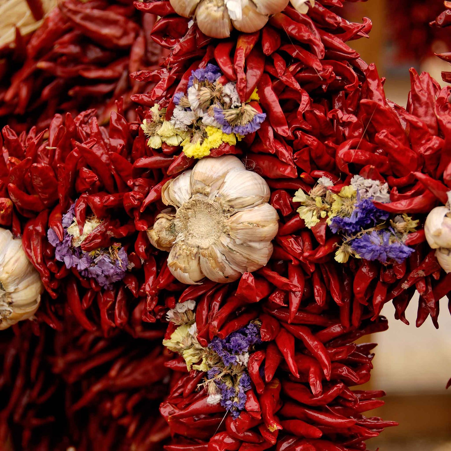 A scattering of Chile de Arbol peppers showing their deep red coloring with a clove of garlic in the center.