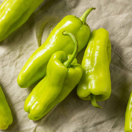 Harvest view of Sweet Pepper Cubanelle, showing ripe color, natural shape, and surface texture clearly.