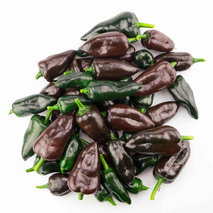 A pile of Mulato Isleno peppers showing the wrinkled and dark colored skin.
