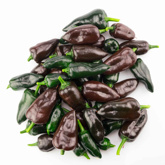 A pile of Mulato Isleno peppers showing the wrinkled and dark colored skin.