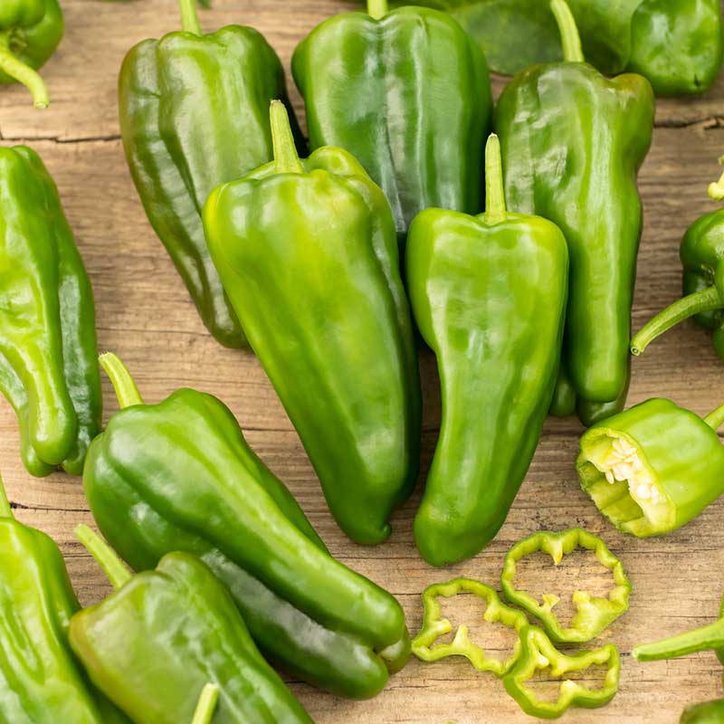 Several Padron peppers showing green skin, green stems, and long bodies. | copyright: Floramedia UK Ltd