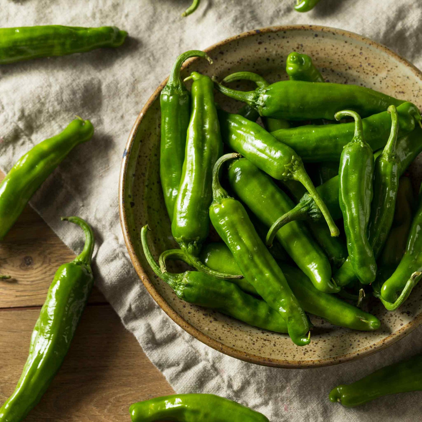 A vibrant green shishito pepper with a slight sheen harvested and in a bowl.