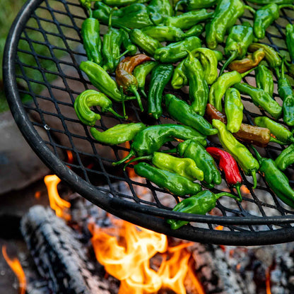 Shishito peppers being grilled over an open flame outdoors.