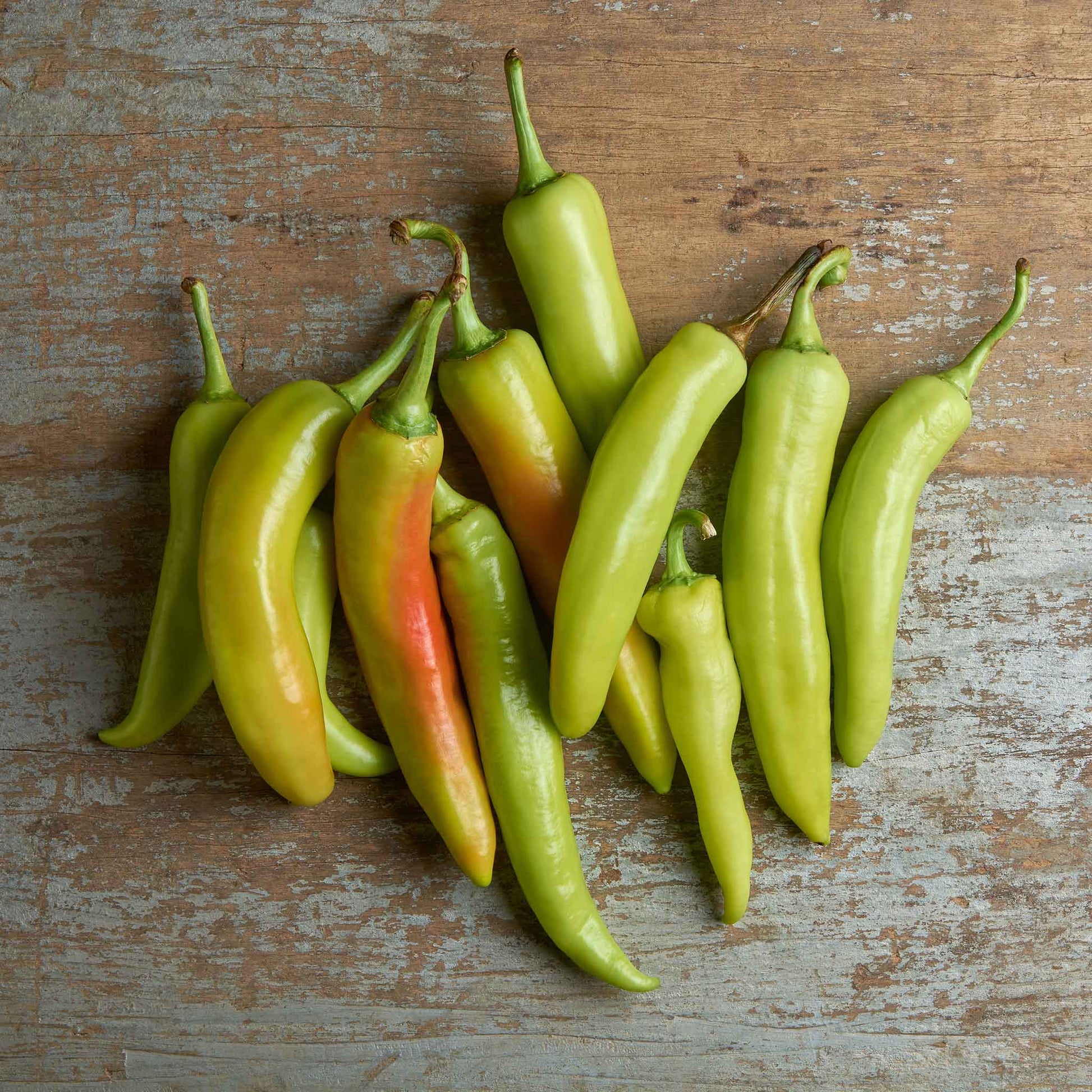 A bunch of yellowish green Sweet Banana peppers with green stems.