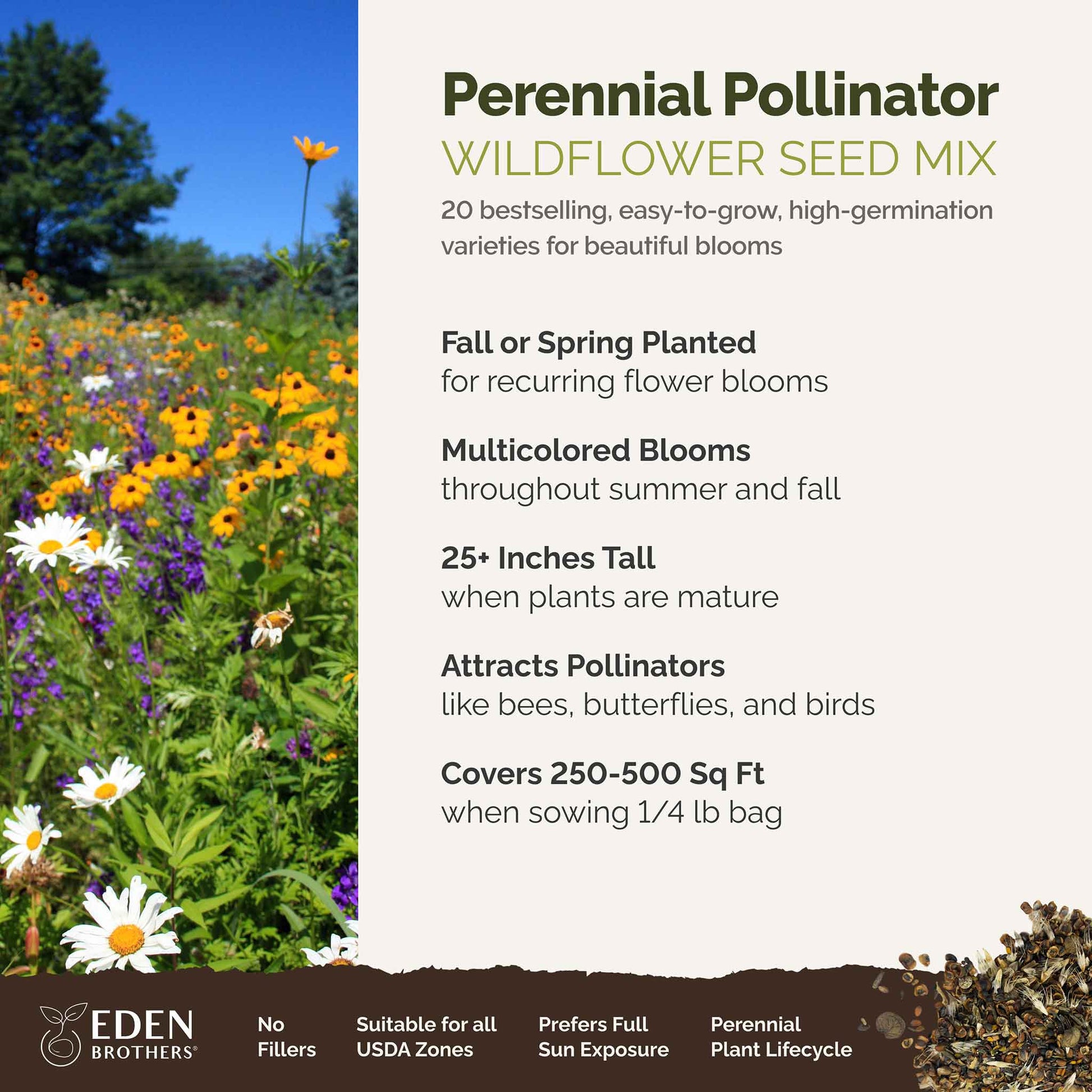 A visual overview of the wildflower seed mix, showcasing expected floral blooms.