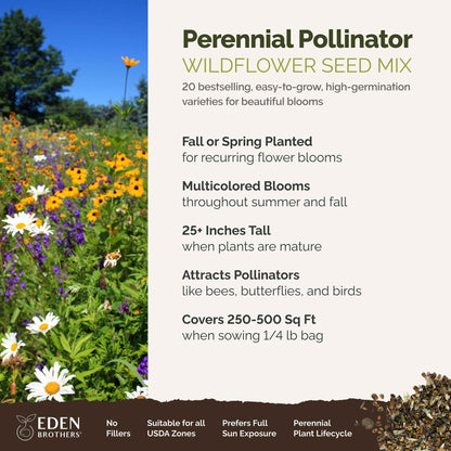 A visual overview of the wildflower seed mix, showcasing expected floral blooms.