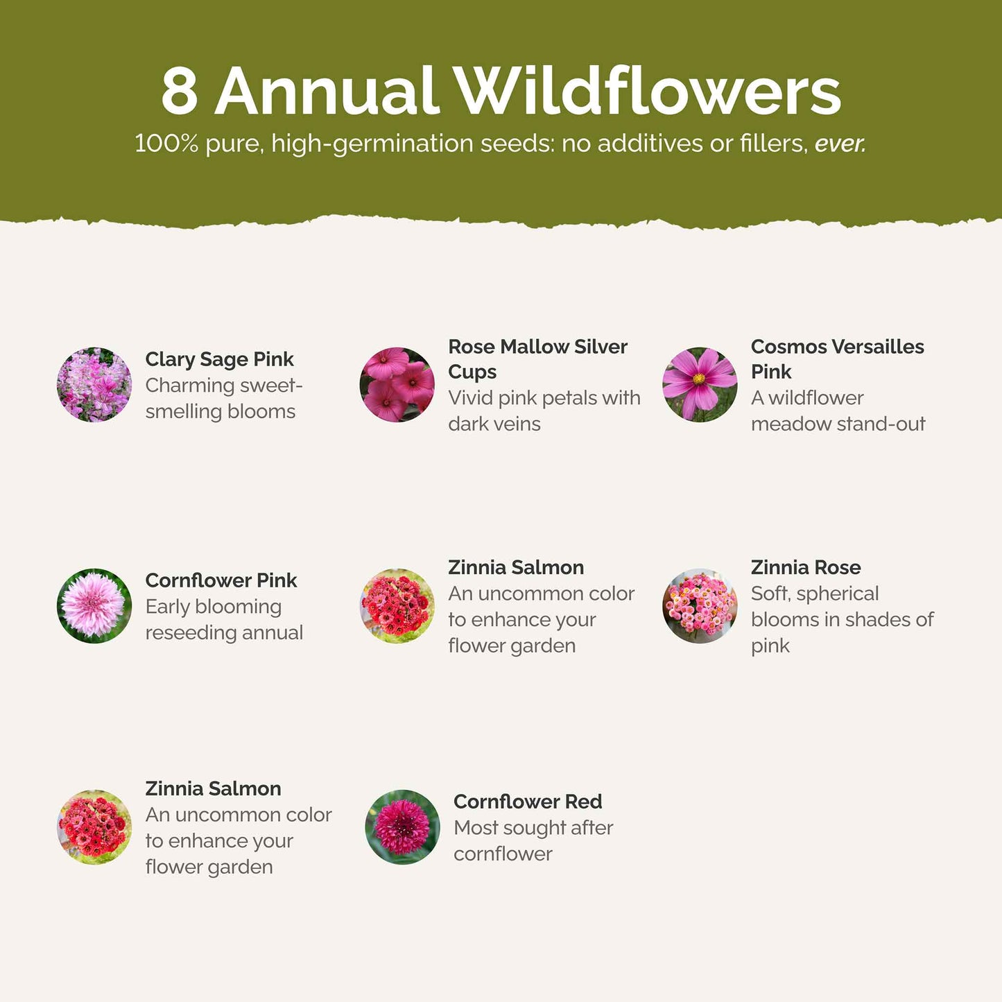 List of flower species and seeds included in the Wildflower Seed Mix.