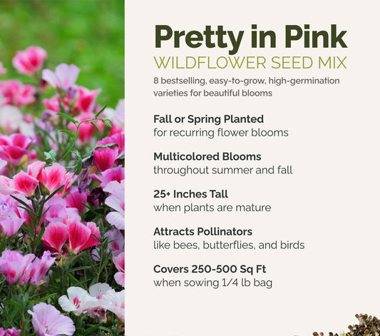 A visual overview of the wildflower seed mix, showcasing expected floral blooms.