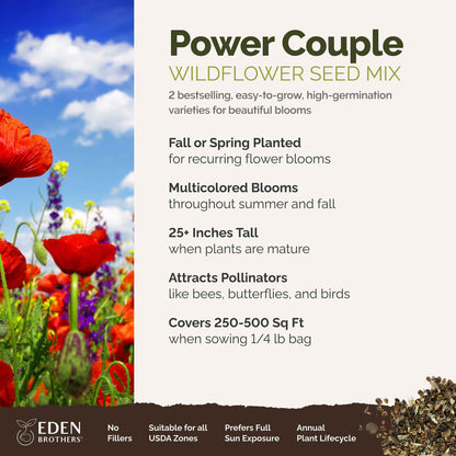 A visual overview of the wildflower seed mix, showcasing expected floral blooms.