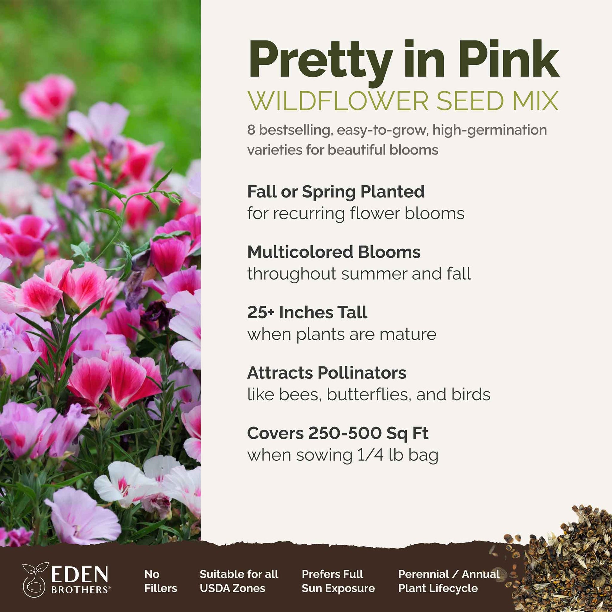 A visual overview of the wildflower seed mix, showcasing expected floral blooms.
