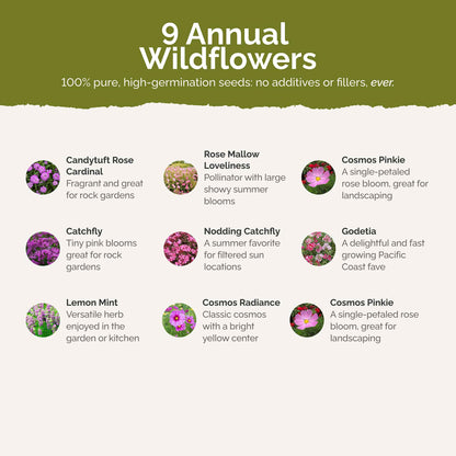 List of flower species and seeds included in the Wildflower Seed Mix.