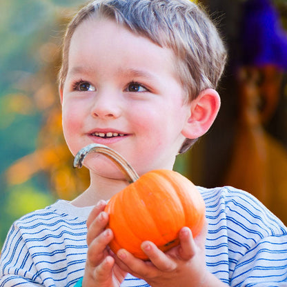 A child holding a Jack Be Little pumpkin with a long stem and vibrant orange skin.