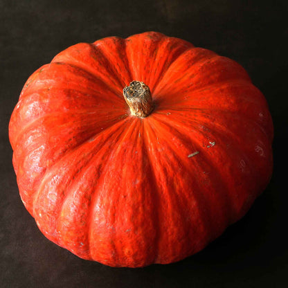 A single, vibrant red Rouge Vif d'Etampes pumpkin with deep ridges rests on a dark background.