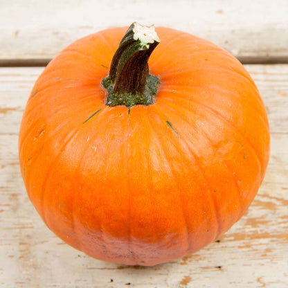 Top view of a Small Sugar pumpkin showing green stem and orange color.
